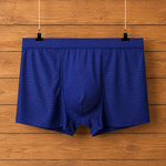 Breathable Mesh Boxer Briefs