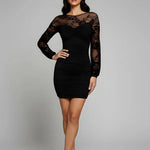Black Mesh Long Sleeve Bodycon Mini Dress