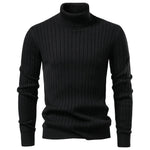 Ellerton Ribbed Turtleneck