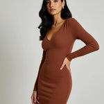 Brown V Neck Casual Long-Sleeve Fitted Dress