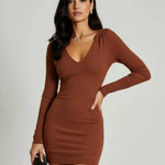 Brown V Neck Casual Long-Sleeve Fitted Dress