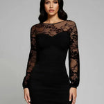 Black Mesh Long Sleeve Bodycon Mini Dress