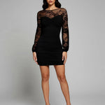 Black Mesh Long Sleeve Bodycon Mini Dress