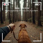 POV RECORD PRO 2.0