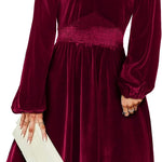 Zeagoo Women's Elegant Velvet Dress Winter Dress (DE Only)