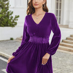 Zeagoo Women's Elegant Velvet Dress Winter Dress (DE Only)