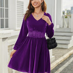 Zeagoo Women's Elegant Velvet Dress Winter Dress (DE Only)