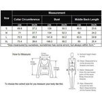 Long Sleeve Mesh Sheer Shirt - Zeagoo (Us Only)