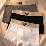 Dario Textured Boxer Brief Set