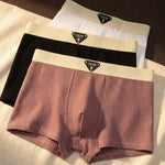 Dario Boxer Briefs