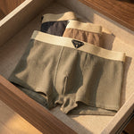 Dario Boxer Briefs