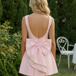 Blush Pink Sleeveless Pearl Trim Bow Back Fit Flare Mini Dress