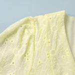 Pale Yellow Eyelet Embroidery Puff Sleeve V Neck Mini Dress