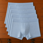 Striped Trunk Boxer Briefs