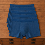 Striped Trunk Boxer Briefs