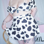 Soft Spring Cow Set