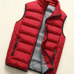 Dario Quilted Puffer Vest