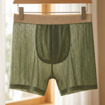 Dante Mesh Boxer Brief