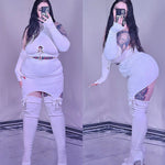 Winter Fox Sweater Top and Skirt